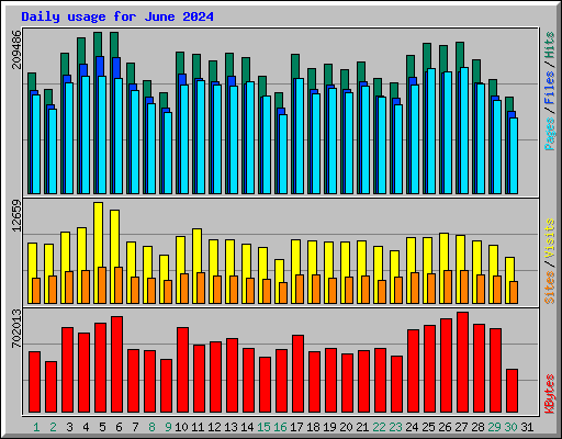 Daily usage for June 2024