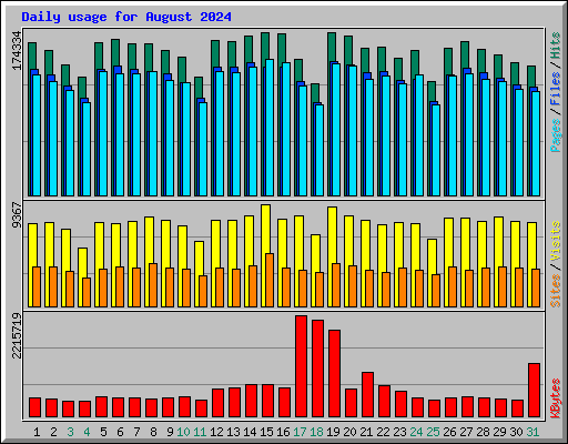 Daily usage for August 2024