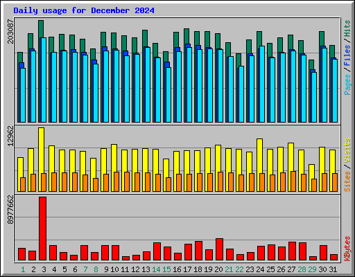 Daily usage for December 2024