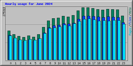 Hourly usage for June 2024