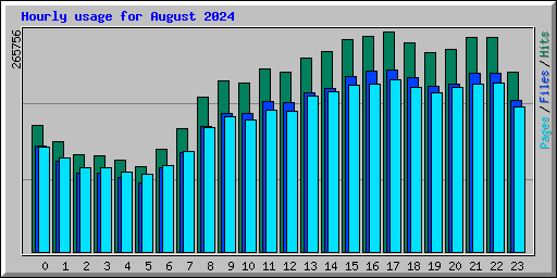 Hourly usage for August 2024