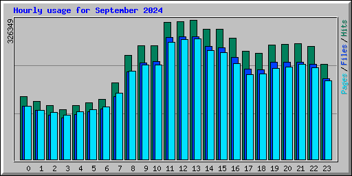 Hourly usage for September 2024