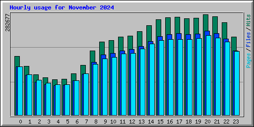 Hourly usage for November 2024