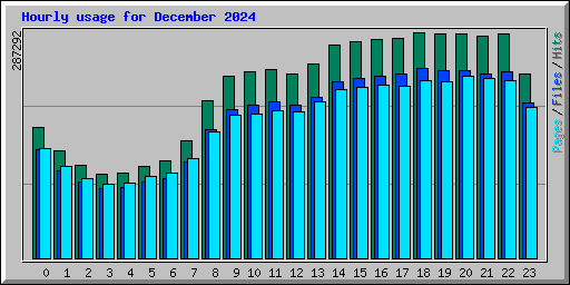 Hourly usage for December 2024