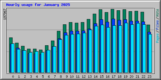 Hourly usage for January 2025