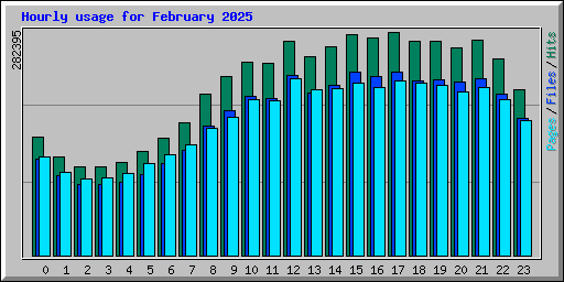 Hourly usage for February 2025