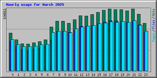 Hourly usage for March 2025